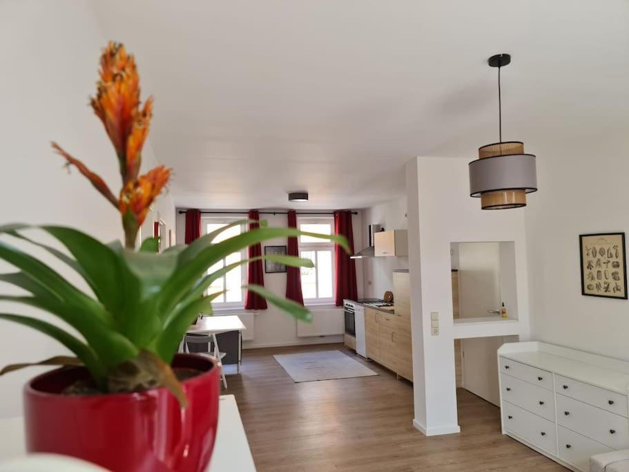 Cityappartement Am Bauhaus-museum Apartment *